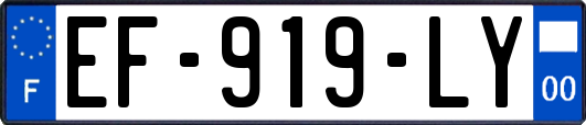 EF-919-LY