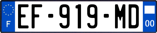 EF-919-MD