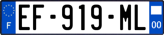 EF-919-ML