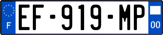 EF-919-MP