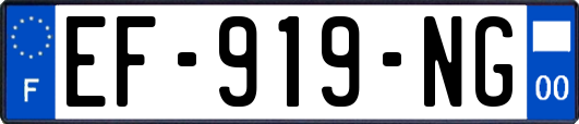EF-919-NG