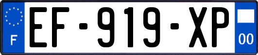 EF-919-XP