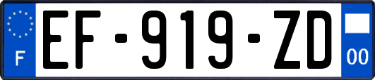 EF-919-ZD