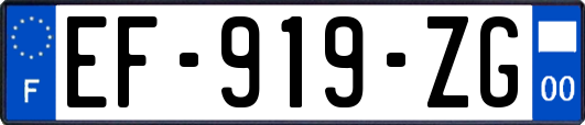 EF-919-ZG