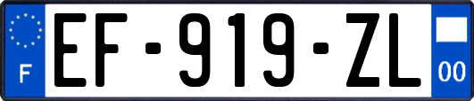EF-919-ZL
