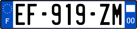 EF-919-ZM