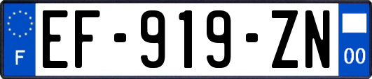 EF-919-ZN