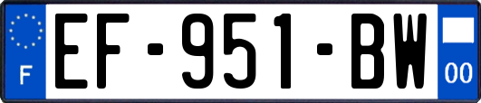 EF-951-BW