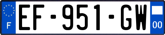 EF-951-GW