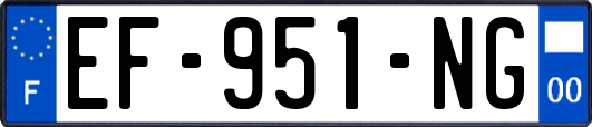 EF-951-NG