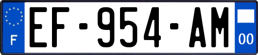 EF-954-AM