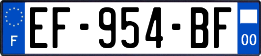 EF-954-BF