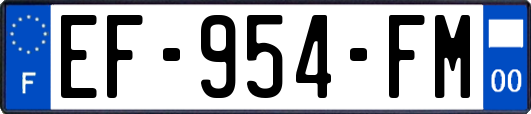 EF-954-FM