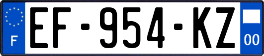 EF-954-KZ