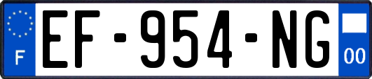EF-954-NG
