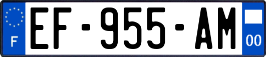 EF-955-AM