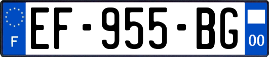 EF-955-BG