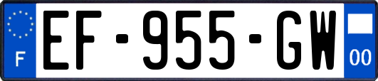 EF-955-GW
