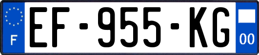 EF-955-KG