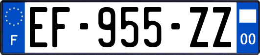 EF-955-ZZ