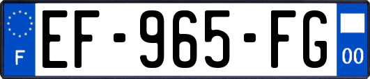 EF-965-FG