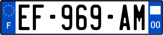 EF-969-AM