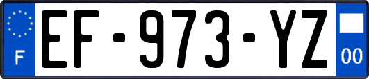 EF-973-YZ