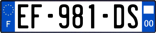 EF-981-DS