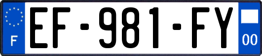 EF-981-FY