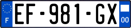 EF-981-GX
