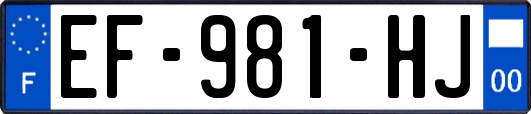 EF-981-HJ