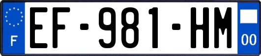 EF-981-HM