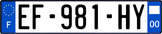 EF-981-HY