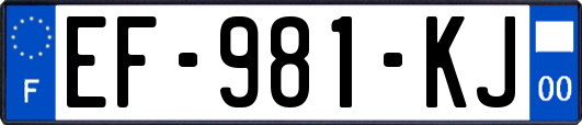 EF-981-KJ