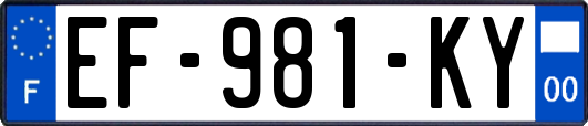 EF-981-KY