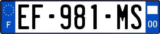 EF-981-MS
