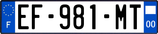 EF-981-MT