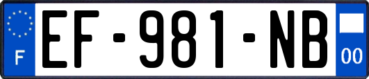 EF-981-NB