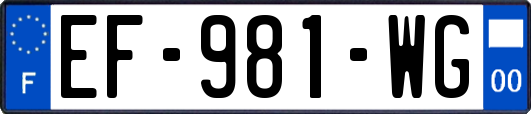 EF-981-WG