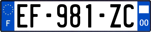 EF-981-ZC