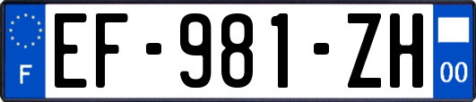 EF-981-ZH