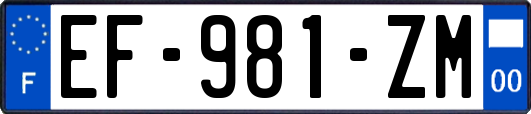 EF-981-ZM