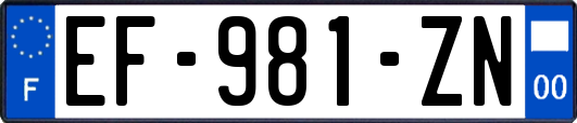 EF-981-ZN