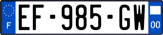 EF-985-GW