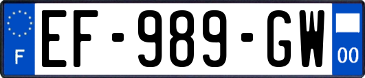 EF-989-GW