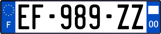 EF-989-ZZ