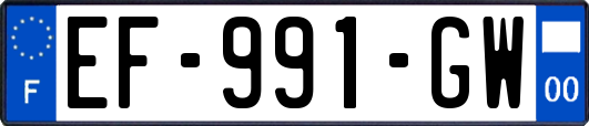 EF-991-GW