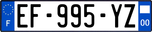 EF-995-YZ