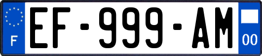 EF-999-AM