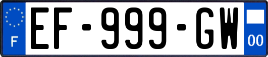 EF-999-GW
